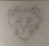 Lion Line Sketch Cropped.jpg